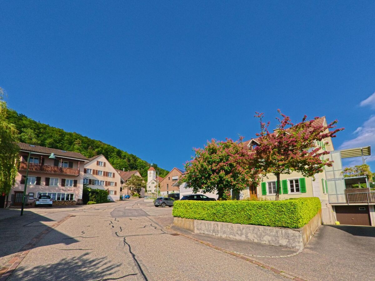 Im Zentrum von Himmelried (4204, Kanton Solothurn) stehen gepflegte Wohnhäuser mit farbigen Fensterläden und blühenden Bäumen vor einem bewaldeten Hang.