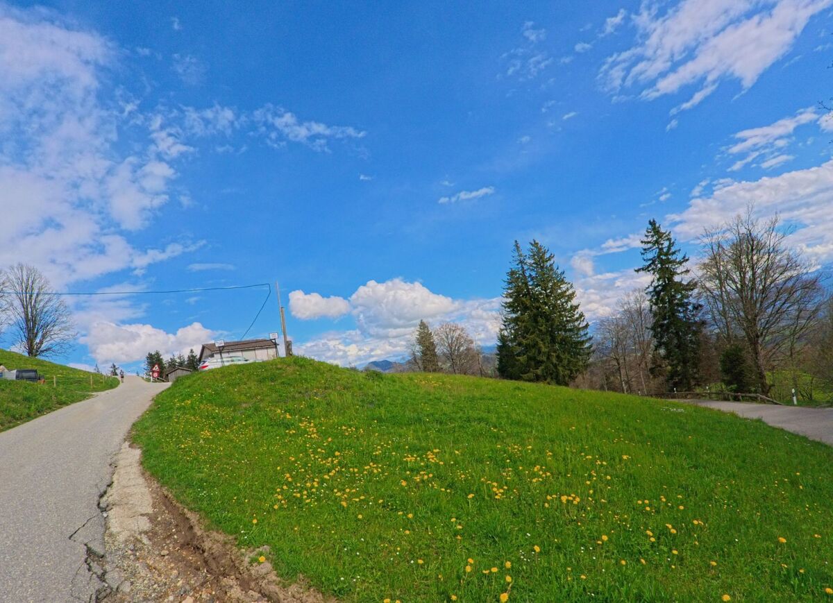 Eine schmale Strasse führt in Hinwil im Kanton Zürich (PLZ 8342) an einem begrünten Hang entlang zu einem Gebäude mit weitem Blick auf die Alpenkette.