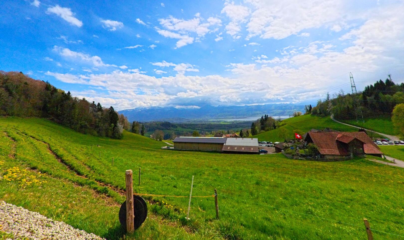 In Hinwil im PLZ-Gebiet 8342 im Kanton Zürich öffnet sich der Blick von einer grünen Anhöhe auf verstreute Bauernhöfe, den Zürichsee und das Alpenpanorama.