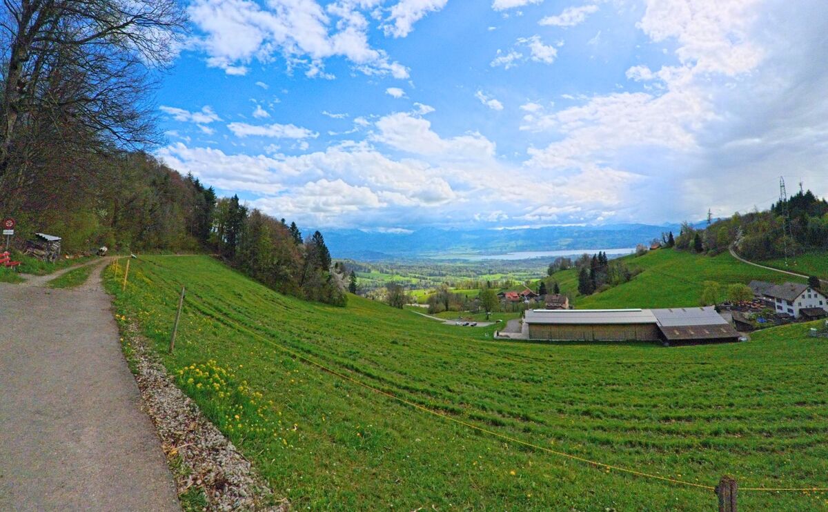 In Hinwil im Kanton Zürich (PLZ 8342) bietet ein Weg am Waldrand einen weiten Ausblick über grüne Hügel, landwirtschaftliche Gebäude und den Zürichsee bis hin zu den Alpen.