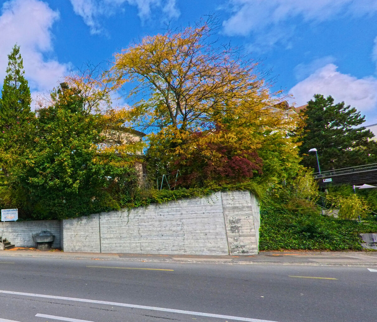 Herbstlich gefärbte Bäume ragen über eine Stützmauer entlang der Strasse in Hochdorf (6280, Kanton Luzern).