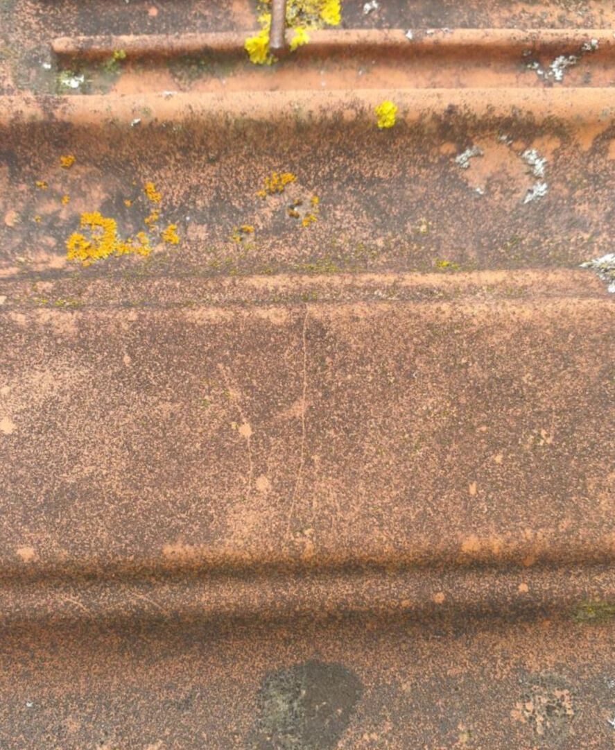 In Hochfelden (8182, Kanton Zürich) zeigt das Bild eine alte, mit Moos und Flechten bedeckte Dachziegeloberfläche.