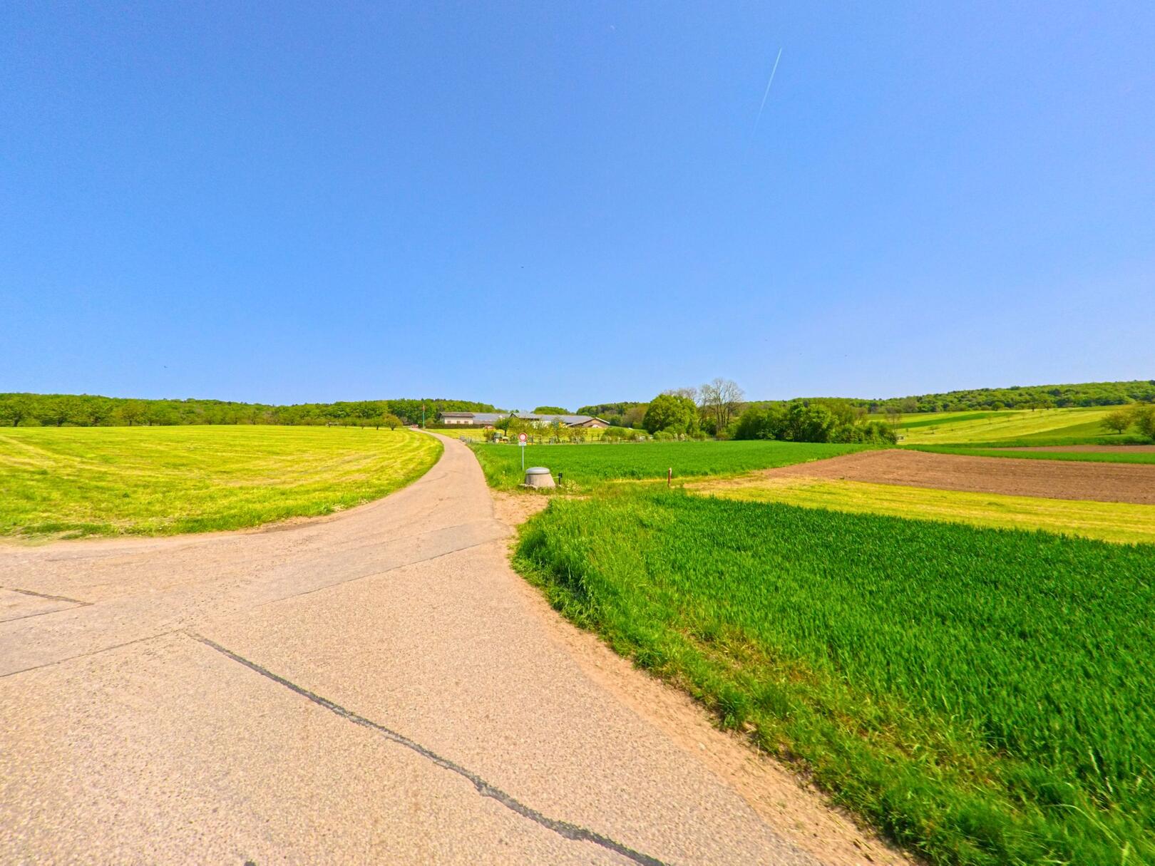 In Hochwald (4146, Kanton Solothurn) fuehrt eine asphaltierte Landstrasse durch eine fruehlingshafte Agrarlandschaft mit grünen Feldern und blauem Himmel.