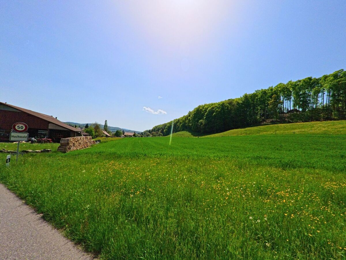Am Ortseingang von Hochwald (4146, Kanton Solothurn) liegt eine gruene Wiese mit Wildblumen neben einem Waldsaum und einem Bauernhof.