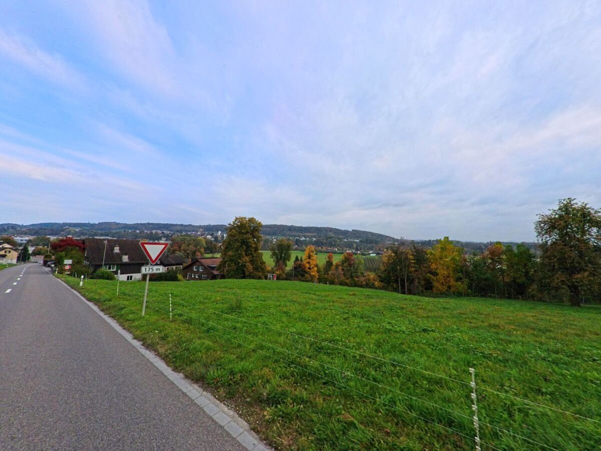 Von einer Strasse aus blickt man in Hohentannen (9216, Kanton Thurgau) über eine grüne Wiese auf verstreute Häuser und herbstlich gefärbte Bäume in der Ferne.