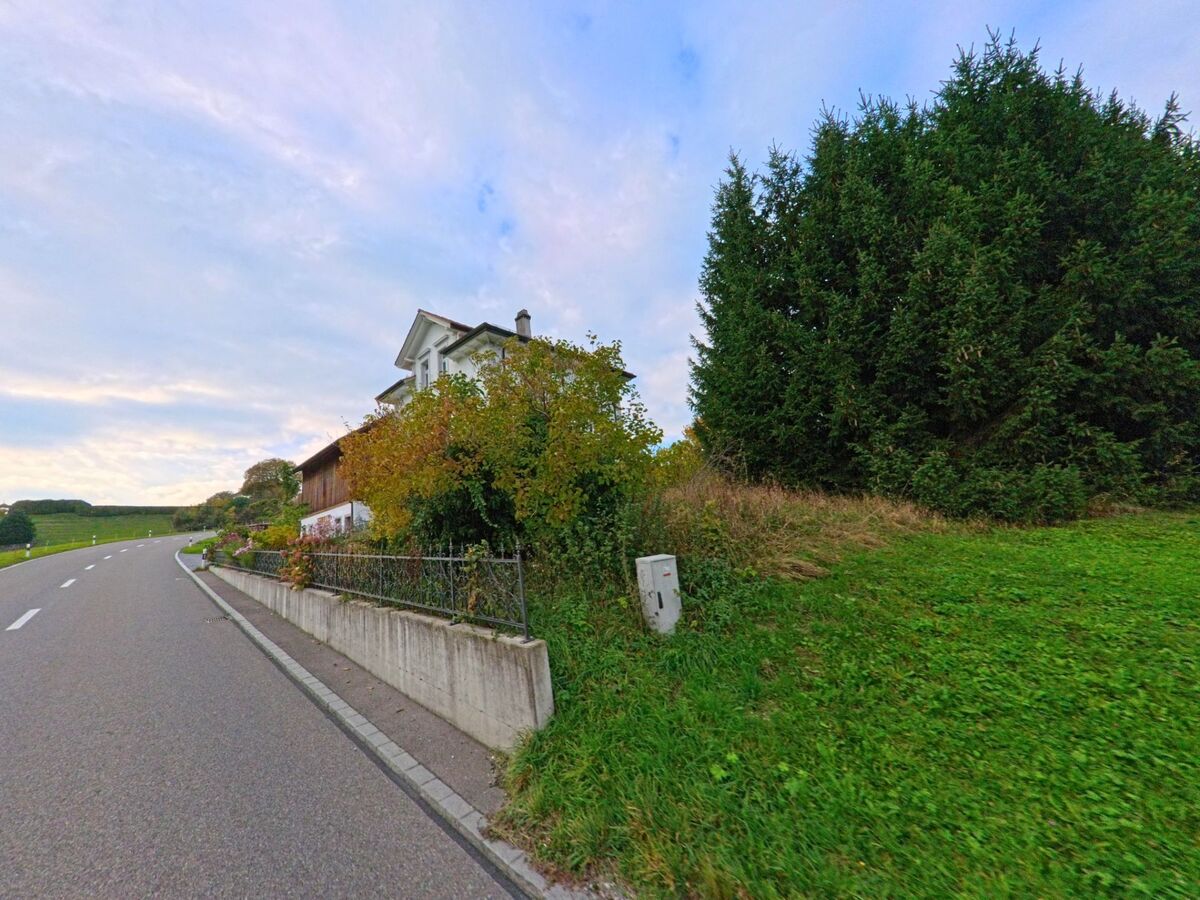 Neben einer geschwungenen Strasse verläuft in Hohentannen (9216, Kanton Thurgau) ein Gehweg entlang einer niedrigen Mauer, dahinter stehen Sträucher und hohe Nadelbäume.