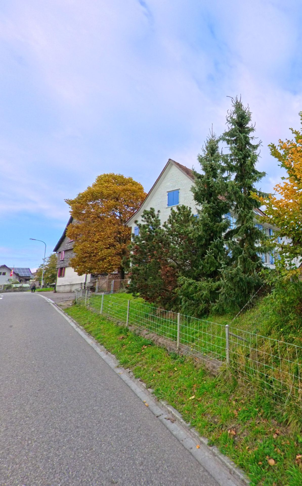 Entlang einer schmalen Strasse führt in Hohentannen (9216, Kanton Thurgau) ein Zaun an Bäumen und einem Wohnhaus vorbei.