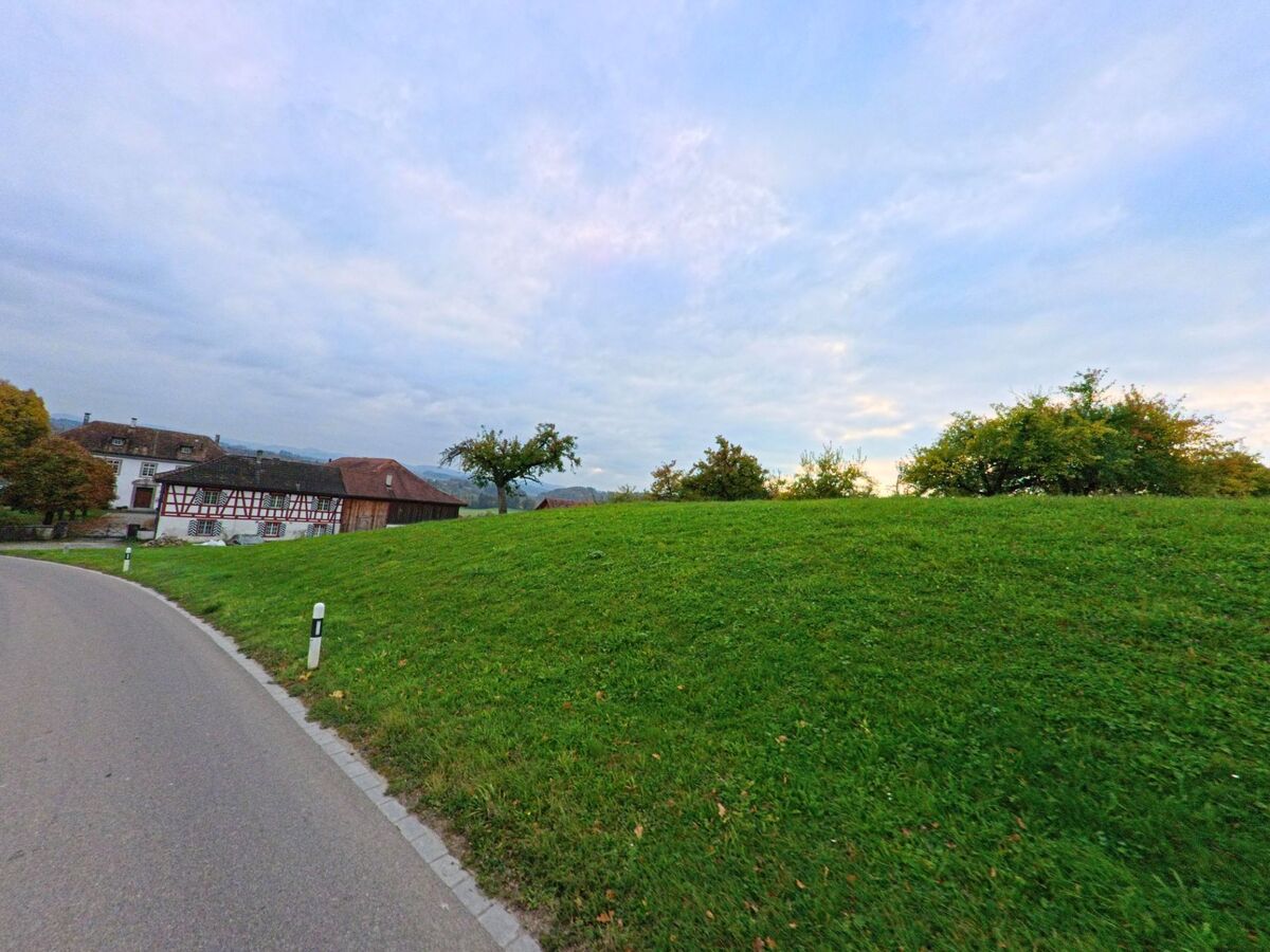 Eine sanfte Wiese mit einzelnen Bäumen erstreckt sich in Hohentannen (9216, Kanton Thurgau) neben einer kurvigen Strasse, während im Hintergrund Höfe zu sehen sind.