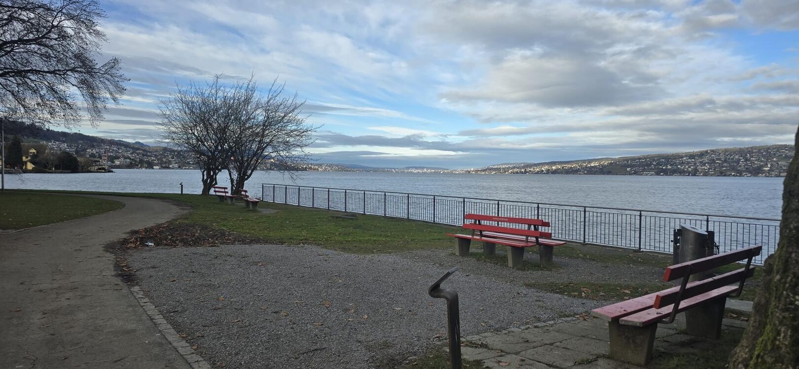 In Horgen (8810, Kanton Zürich) verläuft ein Gehweg mit junger Baumreihe entlang eines Geländers mit Blick auf den Zürichsee und das gegenüberliegende Ufer.