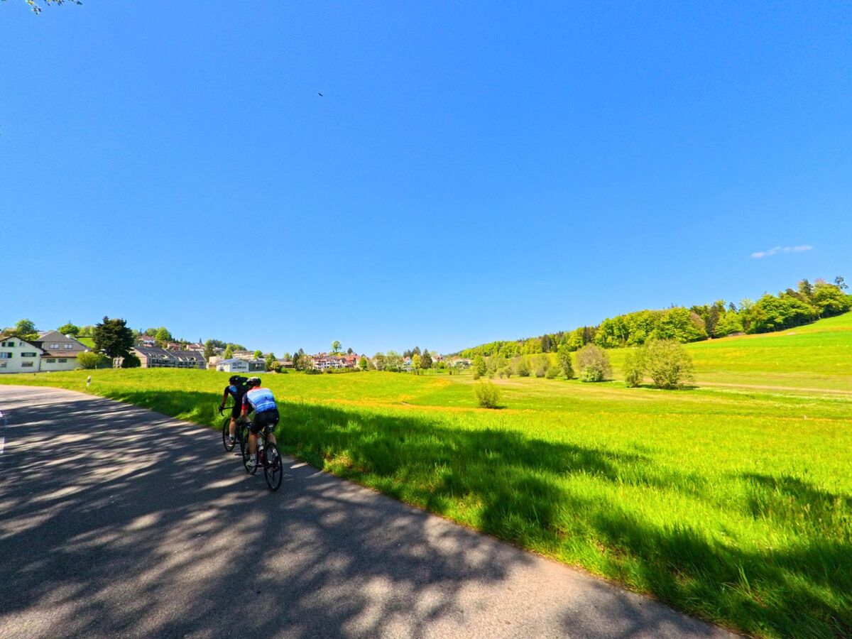  Zwei Radfahrer fahren auf einer Nebenstrasse durch die grüne Hügellandschaft von Horgen (8810, Kanton Zürich) in Richtung eines Wohngebiets am Waldrand.