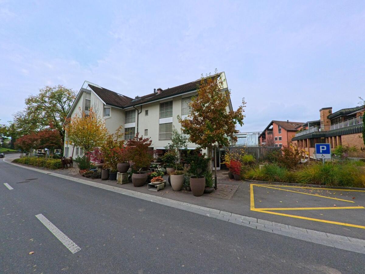 Vor einem Wohnhaus in Hueenenberg (6331, Kanton Zug) stehen zahlreiche Pflanztoepfe mit herbstlich gefaerbten Straeuchern direkt an der leicht gekruemmten Strasse.