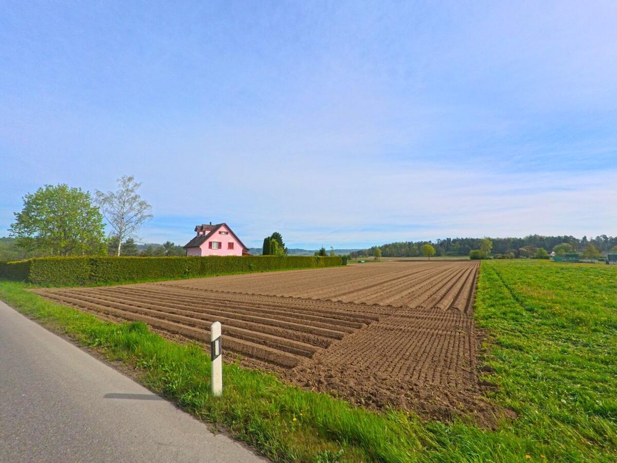 Ein frisch gepflügtes Feld liegt in Hüntwangen im Kanton Zürich mit der PLZ 8194 neben einer ruhigen Landstrasse, im Hintergrund ist ein auffällig rosafarbenes Wohnhaus zu sehen.