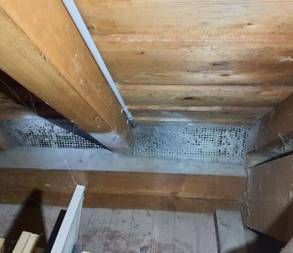 Das Bild zeigt eine Öffnung im Dachboden in Hüttikon (8115, Kanton Zürich) mit einem Drahtgitter, das als Schutz vor Tieren dient, und Staubansammlungen an den Holzträgern.