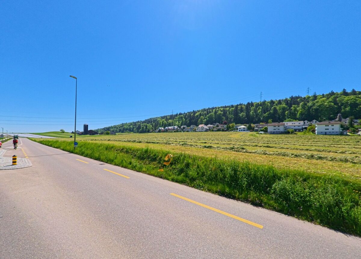 Eine langgezogene Strasse führt in Hüttikon im PLZ-Gebiet 8115 im Kanton Zürich an frisch gemähten Feldern vorbei, mit Blick auf eine Siedlung vor bewaldetem Hang.