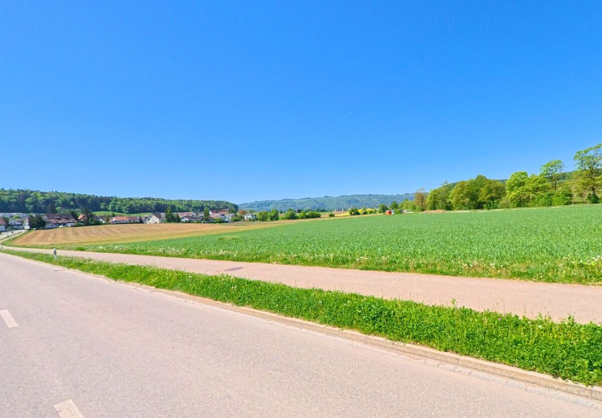 Am Ortsrand von Hüttikon im PLZ-Gebiet 8115 im Kanton Zürich öffnet sich der Blick über weite Felder, einen begleitenden Weg und angrenzende Wohnhäuser vor bewaldeter Hügellandschaft.