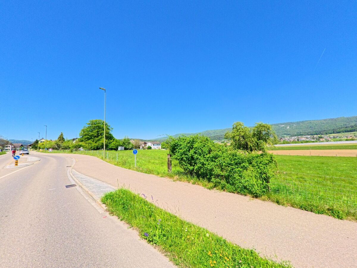 In Hüttikon im PLZ-Gebiet 8115 im Kanton Zürich verläuft eine sanft gebogene Strasse am Rand von Weideflächen mit Blick auf das bewaldete Hügelland.