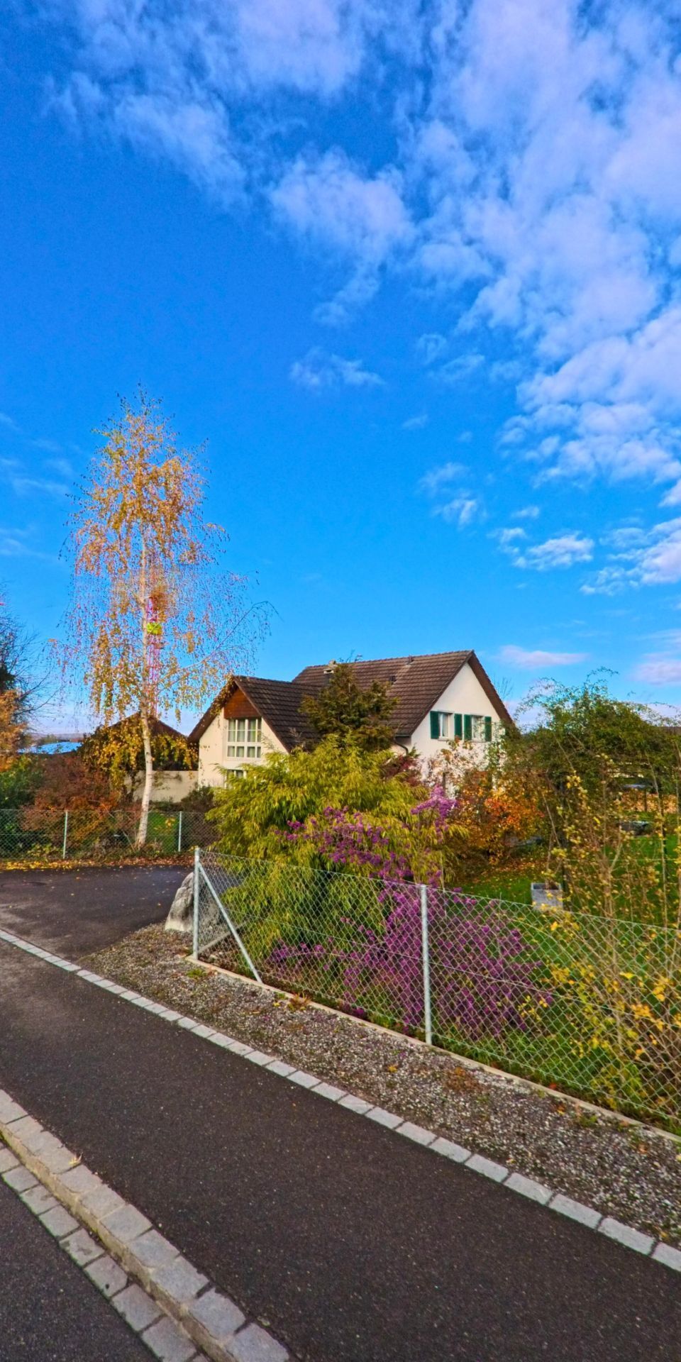 Hinter einem Maschendrahtzaun in Hüttlingen (8553, Kanton Thurgau) liegt ein Garten mit Sträuchern und einem Einfamilienhaus unter weit gespanntem blauem Himmel.