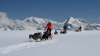 In Alt St. Johann (9656, Kanton St. Gallen) fuehren Musher Hundeschlitten von Huskystuff GmbH ueber eine weite Schneeflaeche vor beeindruckender Bergkulisse.