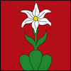 Illgau