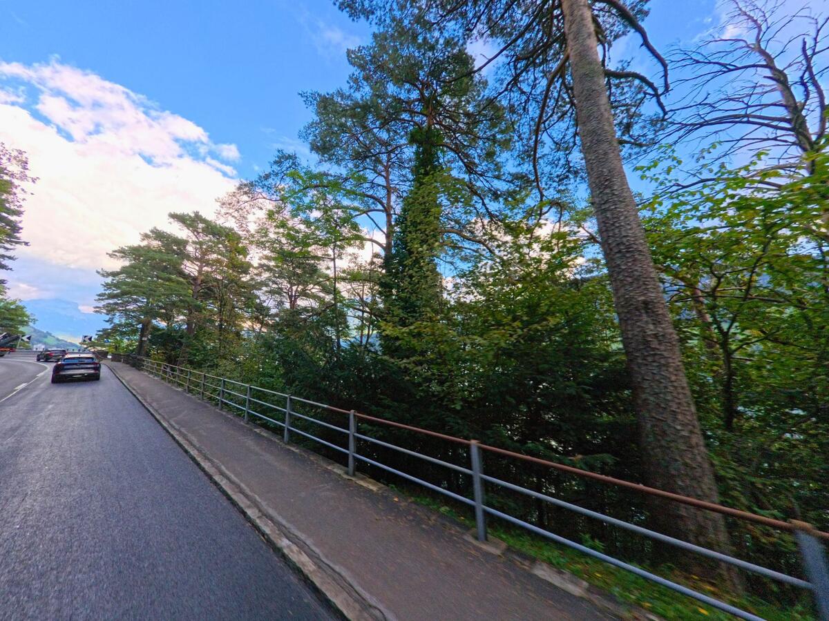Eine schattige Strasse verläuft zwischen Bäumen und Stützmauer in Ingenbohl (6440, Kanton Schwyz).