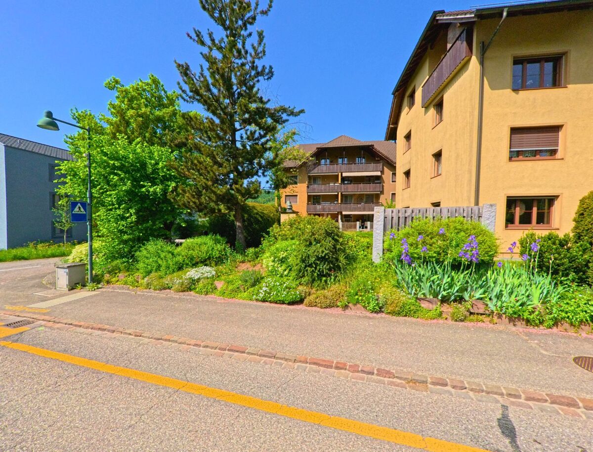 In Itingen (4452, Kanton Baselland) ist eine Straße zu sehen, die an modernen und traditionellen Gebäuden entlangführt. Bäume und Blumen schmücken den Gehweg.