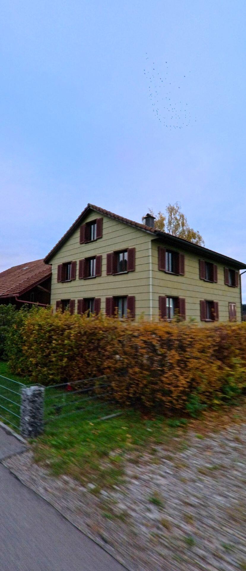 Hinter einer herbstlich gefaerbten Hecke erhebt sich in Jonschwil (9243, Kanton St. Gallen) ein hellgruener Wohnbau mit braunen Fensterlaeden und angeschlossenem Nebengebaeude.