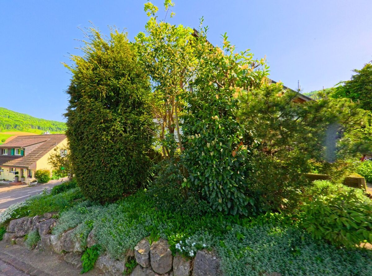 In Kaenerkinden (4447, Kanton Baselland) erstreckt sich ein dichter Vorgarten mit verschiedenen Straeuchern und Steineinfassung entlang eines leicht abfallenden Weges im Wohngebiet.