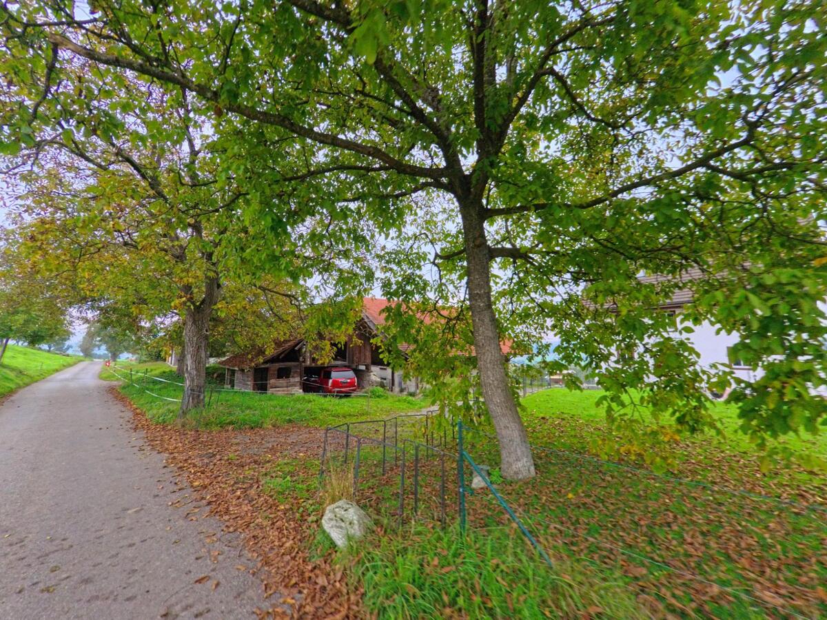 Am Rand einer schmalen Strasse in Kallern (5625, Kanton Aargau) stehen grosse Laubbäume, die den Blick auf ein Bauernhaus mit rotem Auto und grüner Wiese freigeben.