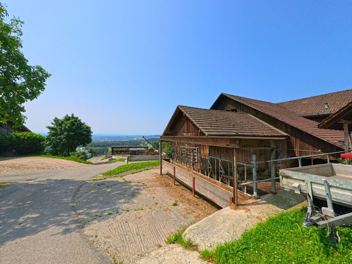 Ein Bauernhof in Kammersrohr (4535, Kanton Solothurn) mit offenen Stallungen bietet Aussicht auf die umliegende Landschaft im Tal.