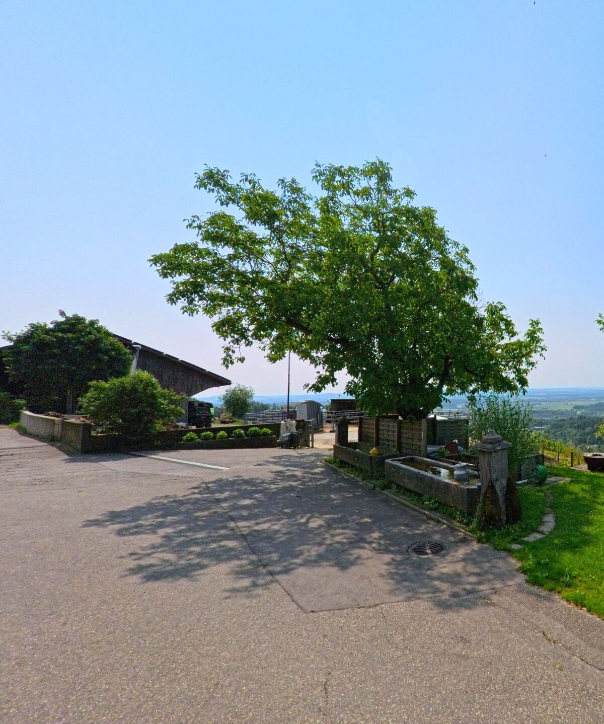 Ein grosser Baum spendet Schatten auf einem Hof in Kammersrohr (4535, Kanton Solothurn), neben einem alten Brunnen und Blick ins Tal.