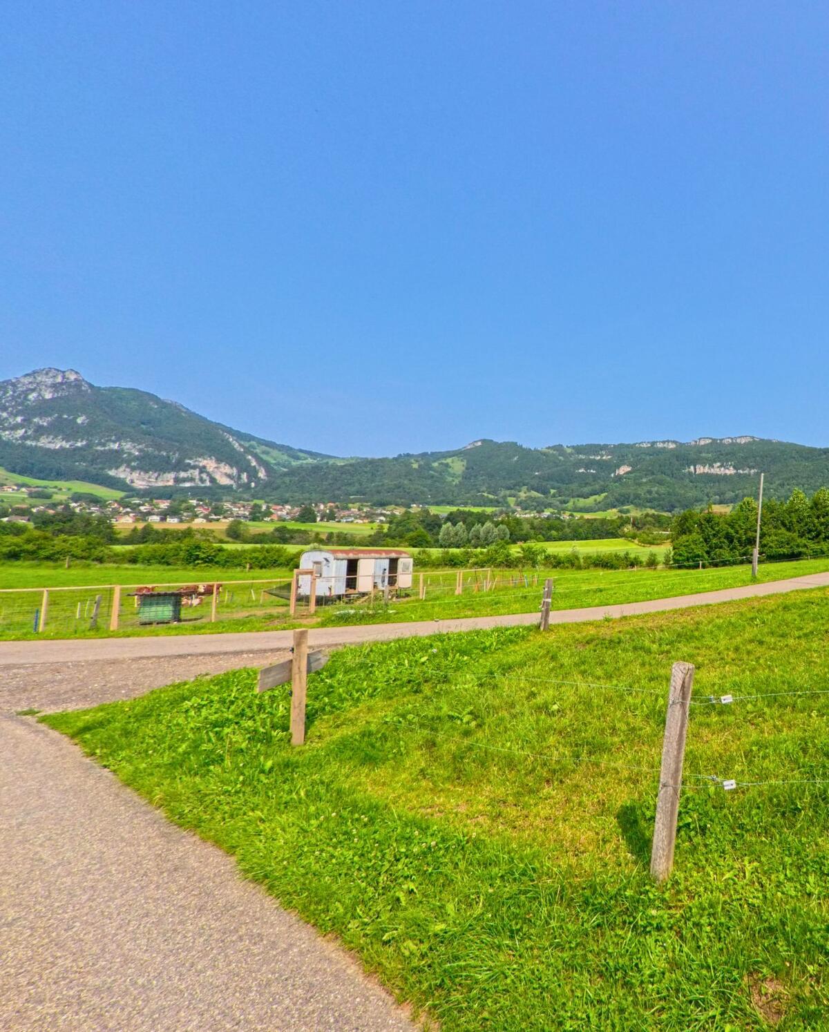 Vor den Bergen liegt in Kammersrohr (4535, Kanton Solothurn) eine gruen leuchtende Wiese mit einem kleinen Weidewagen am Wegesrand.
