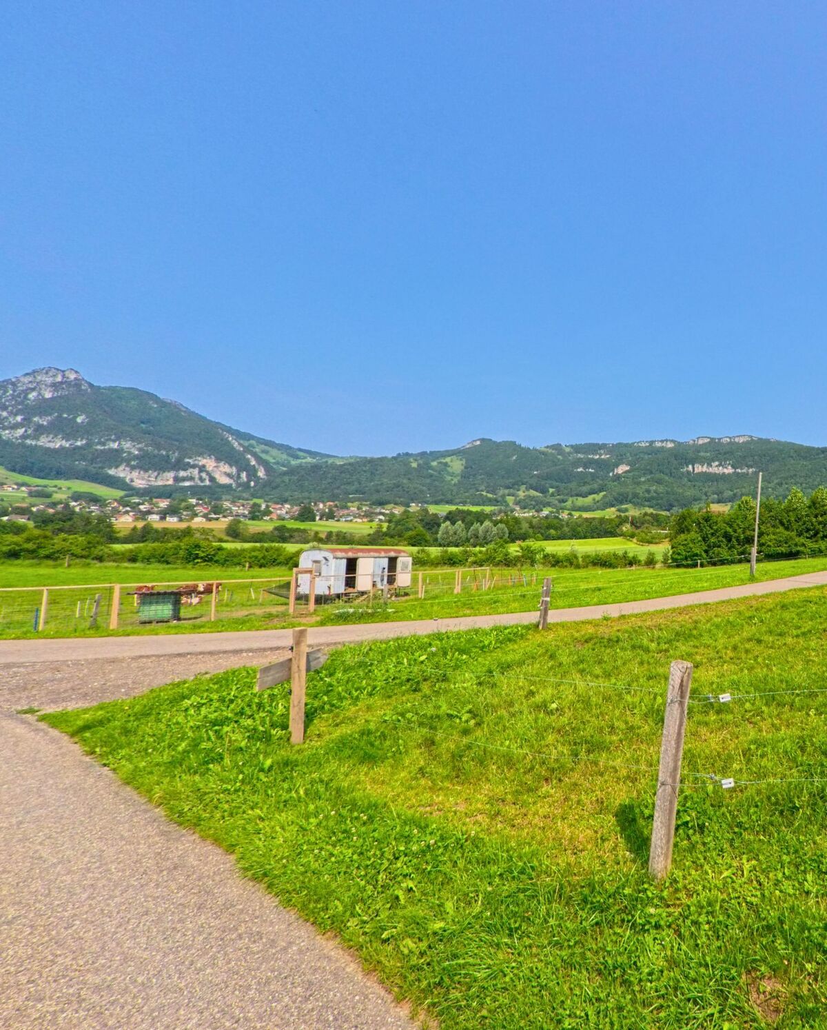 Vor den Bergen liegt in Kammersrohr (4535, Kanton Solothurn) eine gruen leuchtende Wiese mit einem kleinen Weidewagen am Wegesrand.