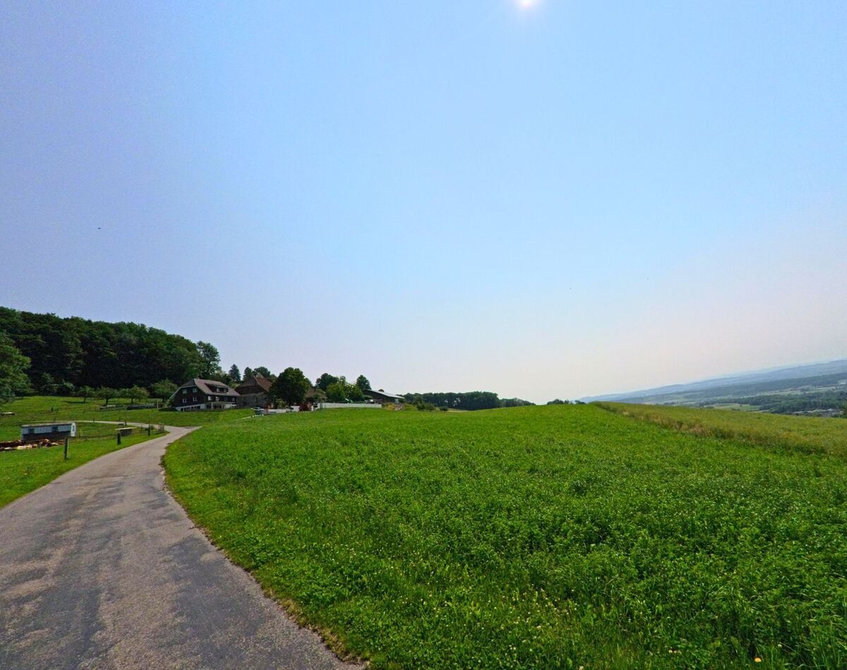 Ein schmaler Asphaltweg fuehrt durch gruenes Wiesland in Kammersrohr (4535, Kanton Solothurn) zu einem Bauernhof am Waldrand mit Fernsicht ins Tal.