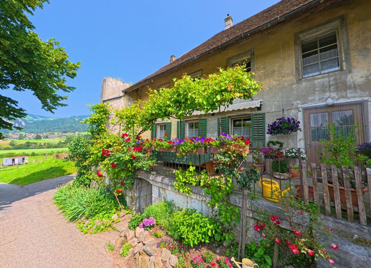 Ein altes Wohnhaus in Kammersrohr (4535, Kanton Solothurn) ist mit gruenen Fensterlaeden und einer bunten Blumenpracht am Balkon geschmueckt.