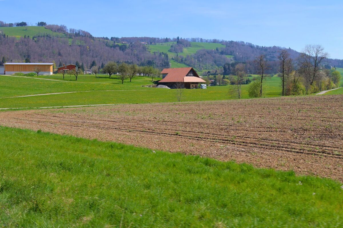 In Kappel am Albis im PLZ-Gebiet 8915 im Kanton Zürich liegt ein einzelner Bauernhof eingebettet in eine leicht hügelige Landschaft mit Wiesen, Feldern und Obstbäumen vor bewaldeten Hängen.