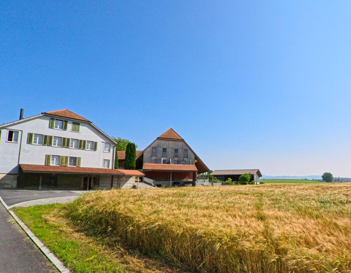 In Kernenried (3309, Kanton Bern) steht eine Gruppe traditioneller Gebäude neben einem weitläufigen Getreidefeld, das sich bis zum Horizont erstreckt.