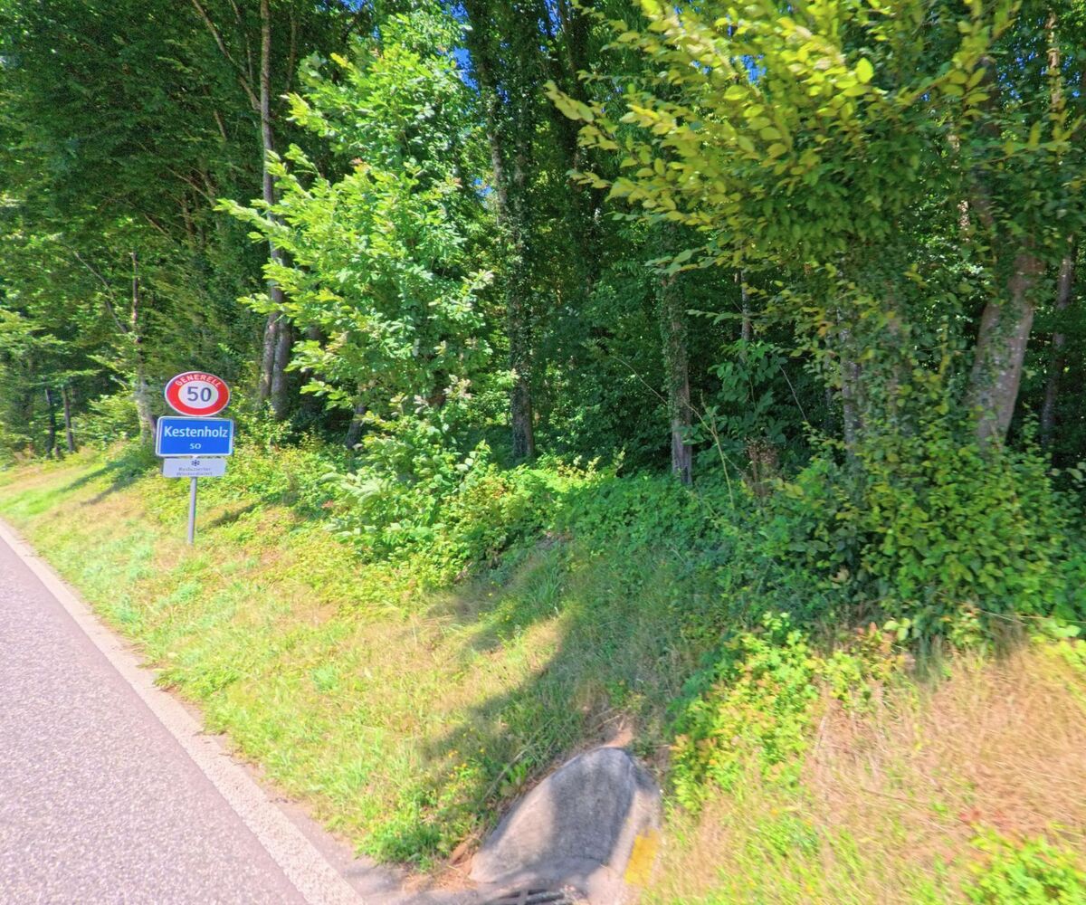 Am Waldrand von Kestenholz (4703, Kanton Solothurn) markiert ein Ortsschild mit Tempolimit die Einfahrt in die Gemeinde auf einer von Bäumen gesäumten Strasse.