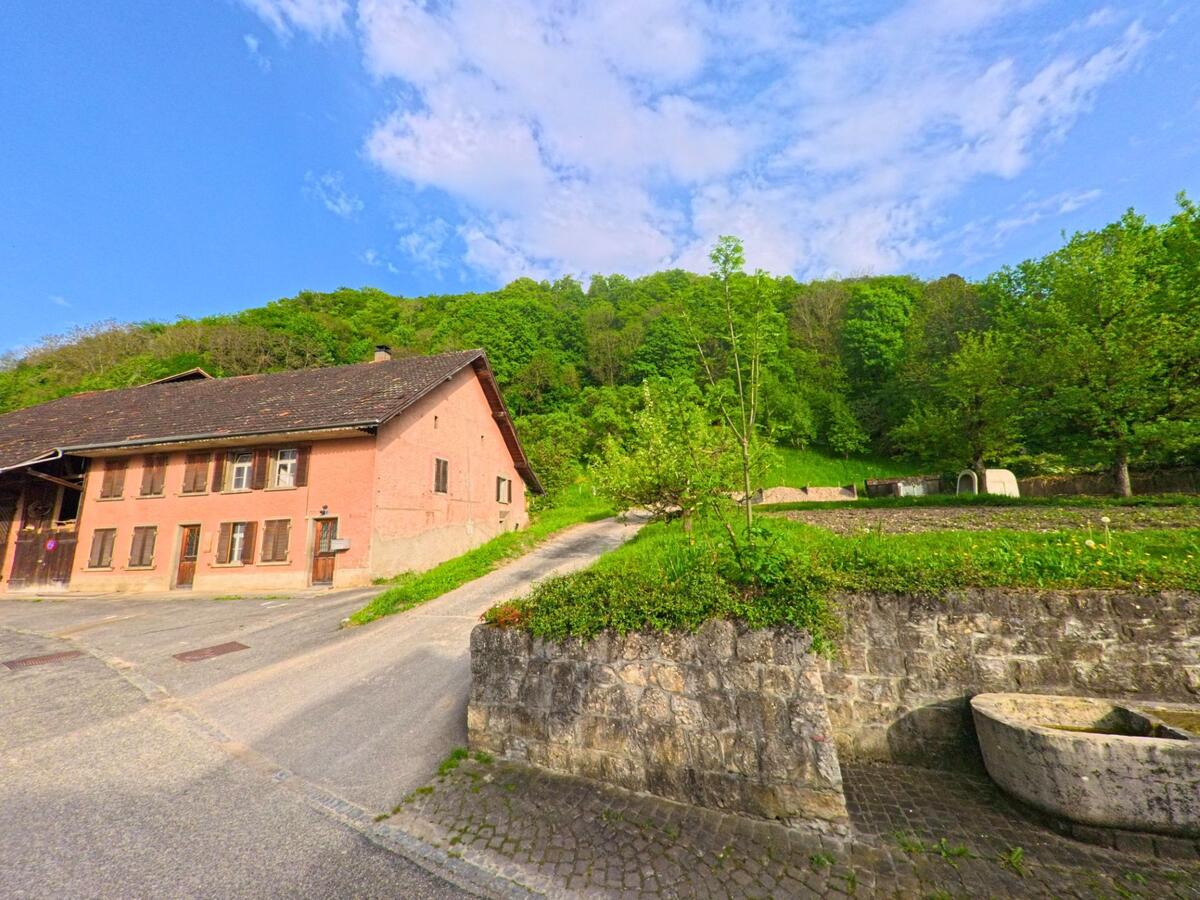 Ein rosafarbenes Bauernhaus am Hang von Kienberg (4468, Kanton Solothurn) steht nahe eines alten Trogs vor dichtem Waldrand.