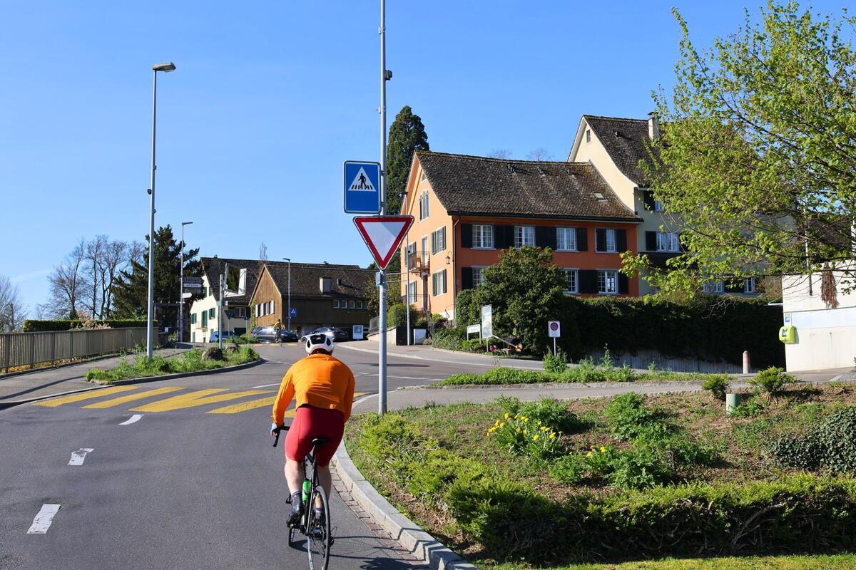 In Kilchberg (8802, Kanton Zürich) verläuft eine Strasse an einer dichten, grünen Hecke entlang, über der ein blühender Fliederbaum in den blauen Himmel ragt.