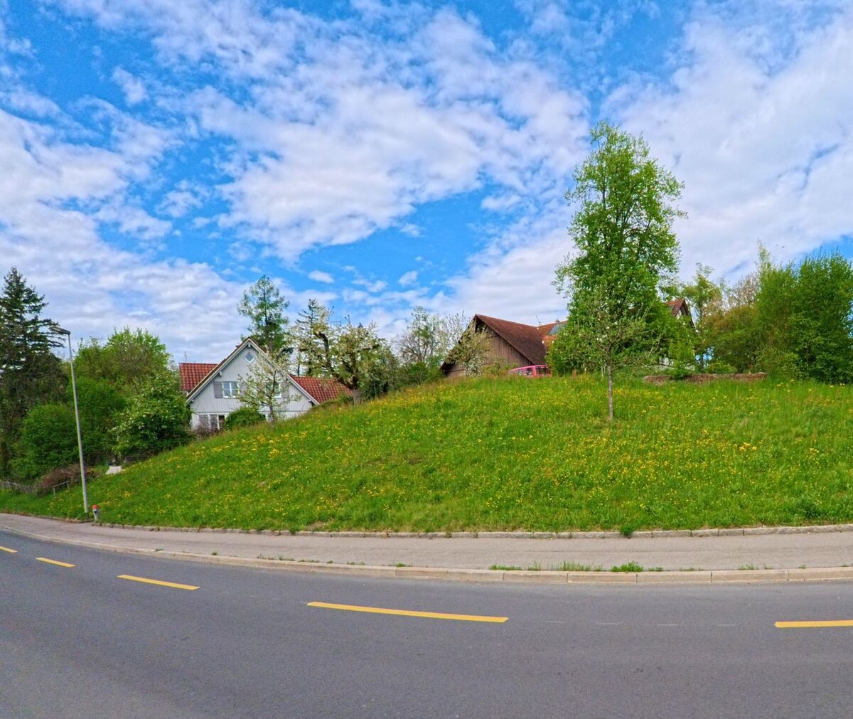 In Kleinandelfingen im Kanton Zürich (PLZ 8451) steigt eine grüne Wiese mit einzelnen Bäumen sanft an, hinter der mehrere Wohnhäuser von Bäumen umgeben sind.