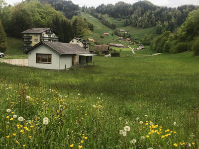 In Sattel (6417, Kanton Schwyz) liegt ein kleines Gebaeude der Kleinkaliber-Schuetzen Sattel inmitten einer weiten, bluetenreichen Wiese vor bewaldeten Huegeln.