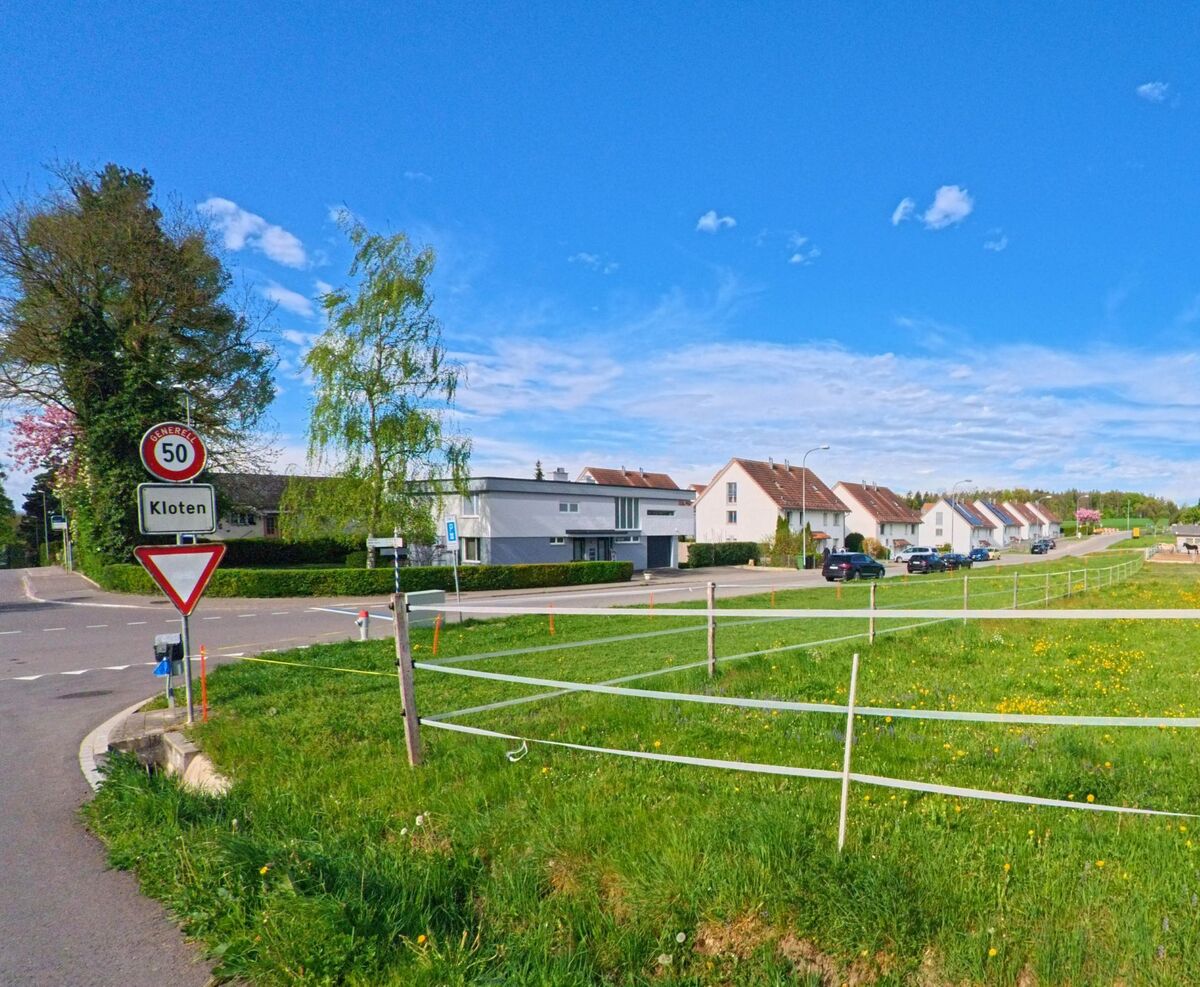 Eine Strassenszene am Stadtrand von Kloten (8302, Kanton Zürich) mit einem Verkehrsschild, das die Geschwindigkeitsbegrenzung von 50 km/h anzeigt, und gepflegten Wohnhäusern entlang der Strasse.