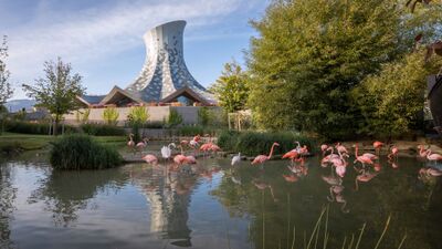 Im Knies Kinderzoo in Rapperswil-Jona (8640, Kanton St. Gallen) stehen Flamingos im Wasserteich, im Hintergrund erhebt sich der markante Zauberhut-Bau.