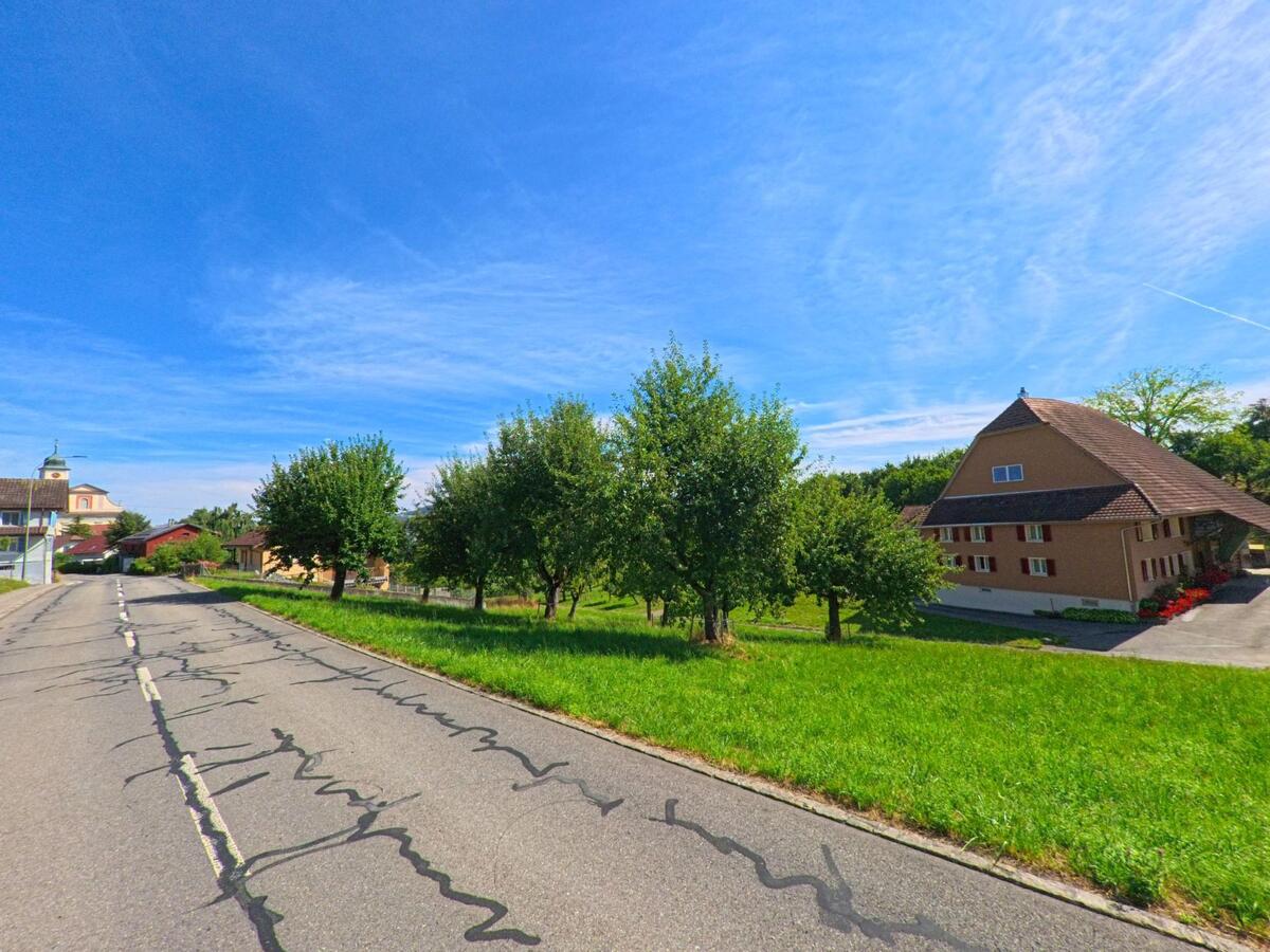 Eine von Obstbaeumen gesaeumte Landstrasse in Knutwil (6213, Kanton Luzern) fuehrt an einem traditionellen Bauernhaus vorbei, im Hintergrund ist der Kirchturm sichtbar.