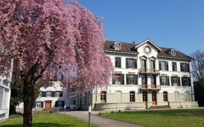 Vor einem historischen Gebaeude mit bluetendem Baum zeigt sich in Riehen (4125, Kanton Basel-Stadt) die Anlage des Diakonissenhauses bei fruehlingshaftem Wetter.