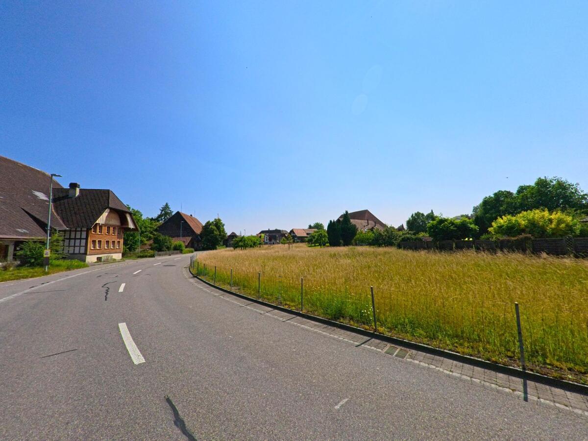 Eine sanft geschwungene Strasse führt in Koppigen (3425, Kanton Bern) an einer hohen Wiese vorbei, flankiert von traditionellen Bauernhäusern mit Satteldächern.