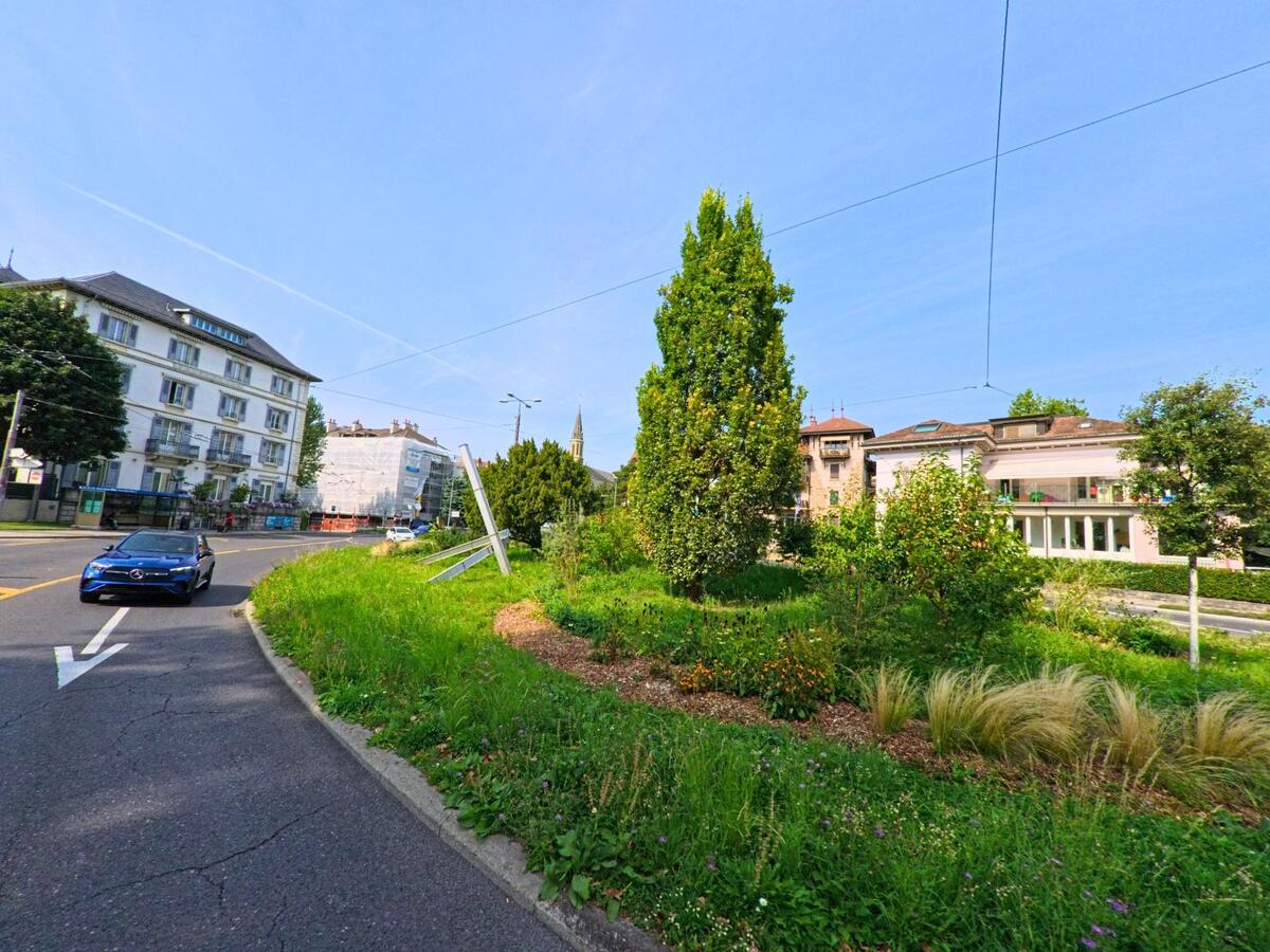 Eine begruente Verkehrsinsel mit Baeumen und Blumen liegt an einer Strasse in La_Tour-de-Peilz (1814, Kanton Waadt), im Hintergrund sind Wohnhaeuser zu sehen.
