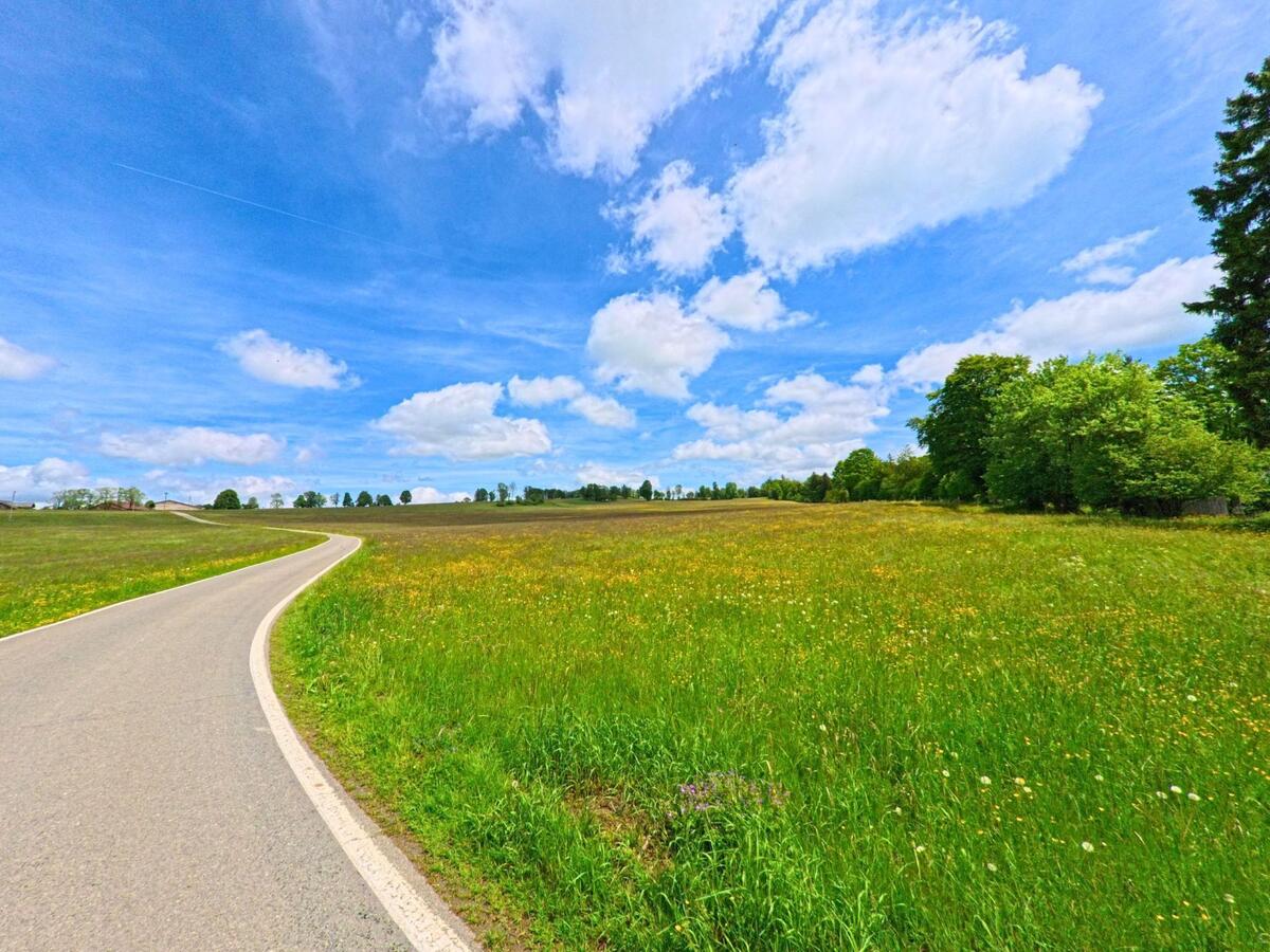 Eine sanft geschwungene Landstrasse durchquert bei klarem Himmel die offene Wiesenlandschaft von Lajoux (2718, Kanton Jura).
