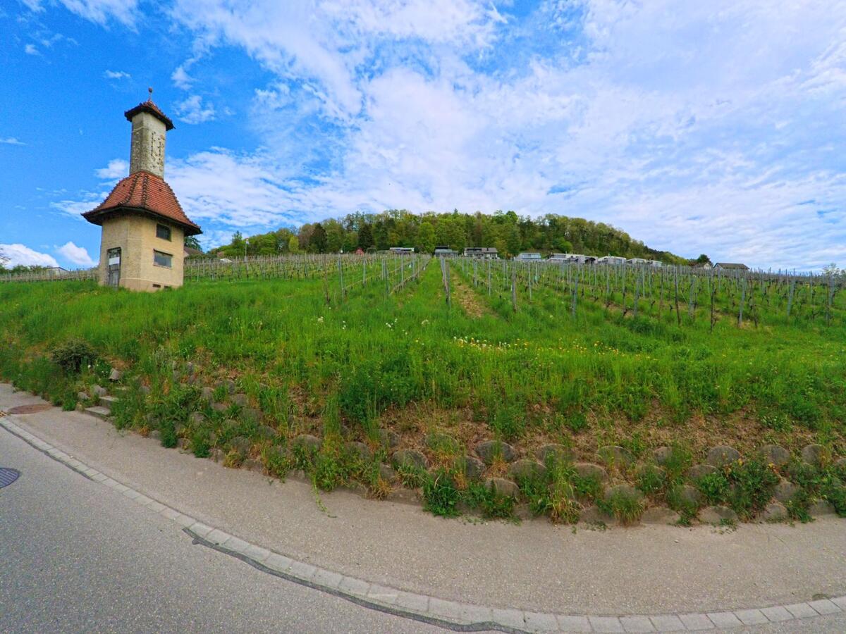 In Laufen-Uhwiesen im Kanton Zürich, PLZ 8248, erhebt sich ein kleines Turmgebäude am Rand eines Rebbergs mit gepflegten Reben am Hang.