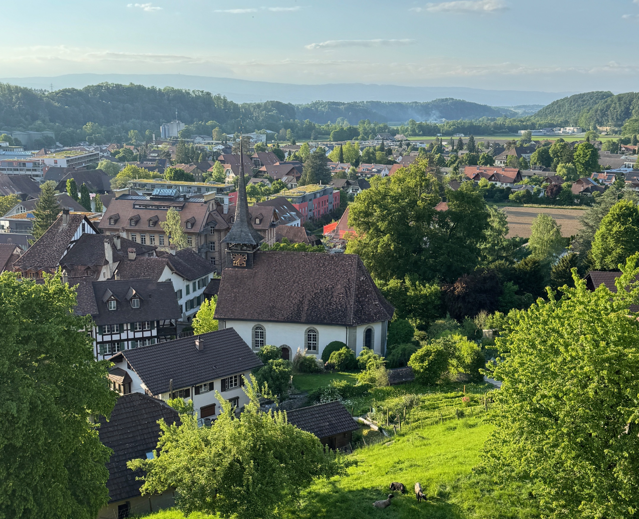 Ein erhöhter Blick zeigt die Ortschaft mit Kirche, Wohnhaeusern und umliegenden Feldern in Laupen (3177, Kanton Bern) bei klarem Wetter.